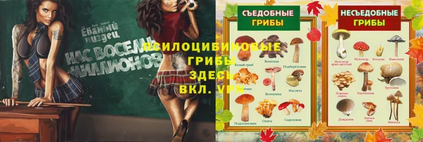 МДПВ Балахна